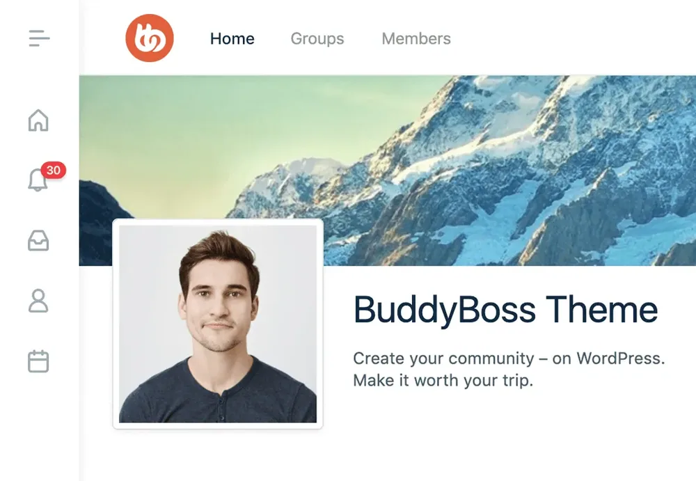 BuddyBoss Pro (BuddyBoss Web) product artwork