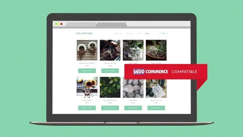 Themotion WordPress Theme product artwork
