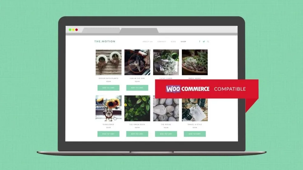 Themotion WordPress Theme product artwork