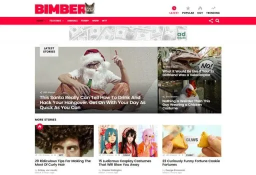 Bimber – Viral Magazine WordPress Theme product artwork