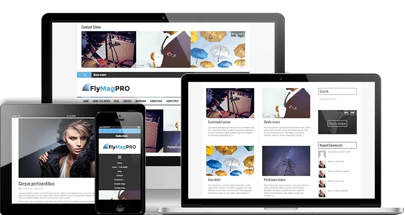 FlyMag Pro WordPress Theme product artwork