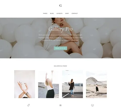 Gallery Pro Theme product artwork