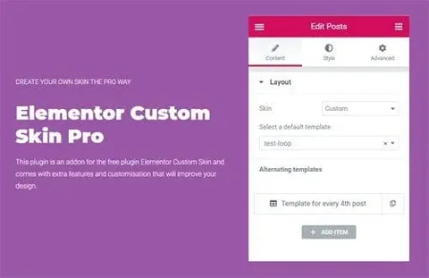 Elementor Custom Skin Pro product artwork