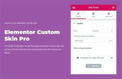Elementor Custom Skin Pro product artwork