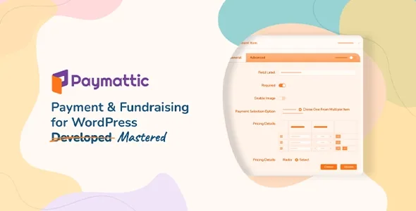 Paymattic Pro product artwork