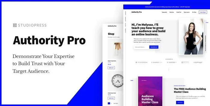 Authority Pro Theme product artwork