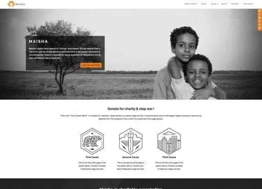 Maisha WordPress Theme product artwork