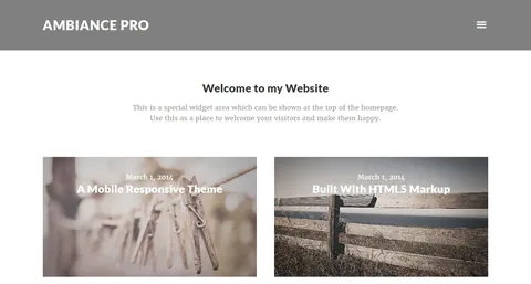 Ambiance Pro Theme product artwork