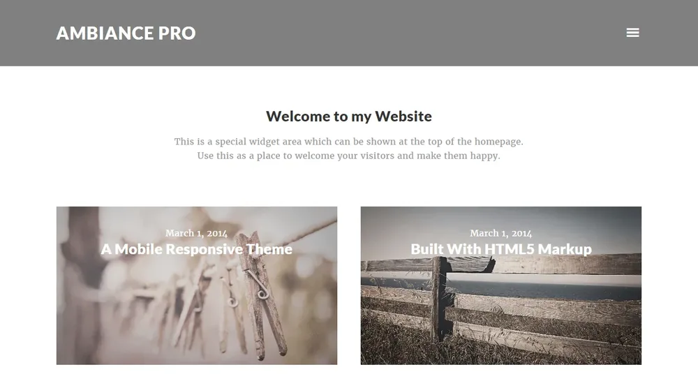 Ambiance Pro Theme product artwork