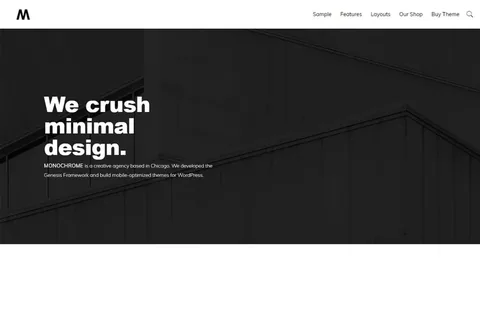 Monochrome Pro Theme product artwork