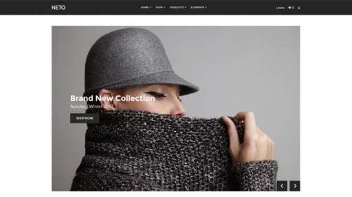 Neto WordPress Theme By CSS Igniter product artwork