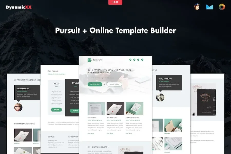 Pursuit – Responsive Marketing / Business Email product artwork