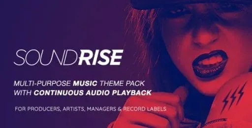 SoundRise – Artists, Producers and Record Labels Theme product artwork