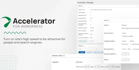 Seraphinite Accelerator product artwork