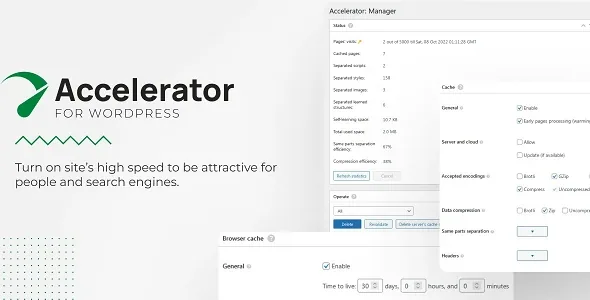 Seraphinite Accelerator product artwork