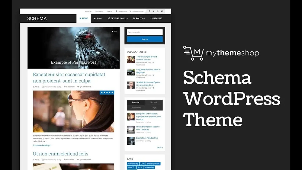MyThemeShop Schema WordPress Theme product artwork