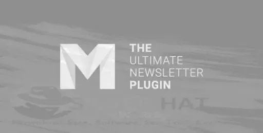 Mailster – Email Newsletter Plugin for WordPress product artwork
