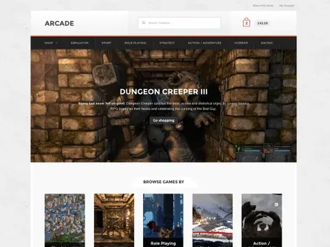 WooCommerce Arcade Storefront WordPress Theme product artwork