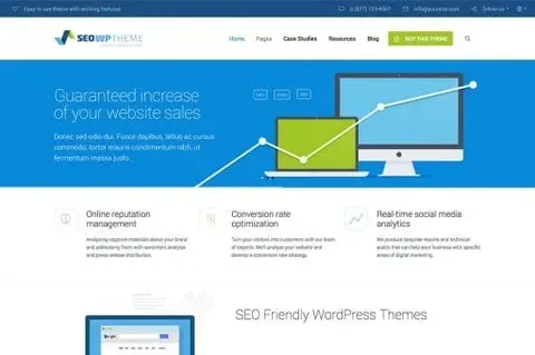 SEO WP: Online Marketing & Social Media Agency product artwork