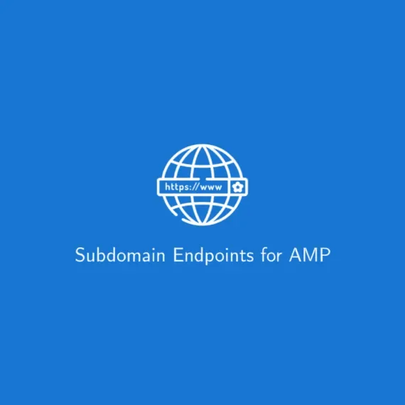 Subdomain Endpoints for AMP product artwork