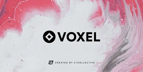 Voxel Pro product artwork