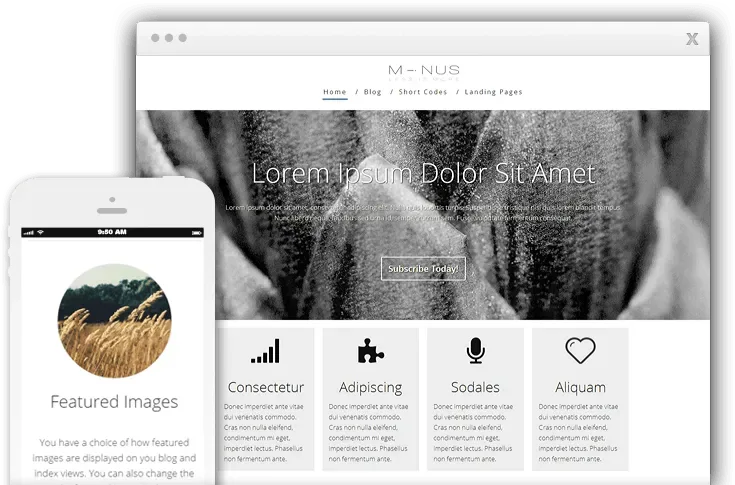 Thrive Minus Theme product artwork
