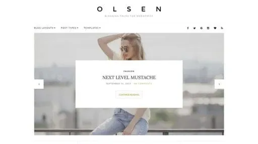 Olsen WordPress Theme By CSS Igniter product artwork