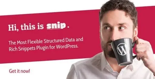 SNIP: Structured Data Plugin for WordPress product artwork
