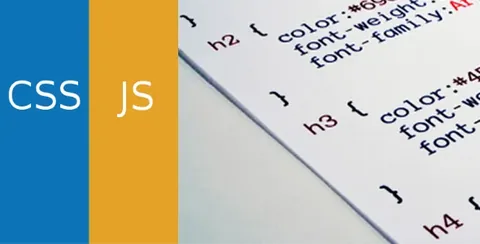 Simple Custom CSS and JS PRO product artwork