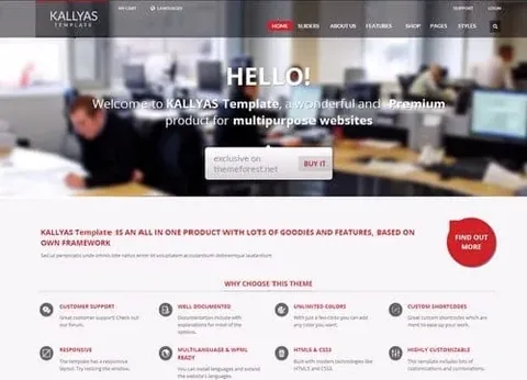 KALLYAS – Creative eCommerce WordPress Theme product artwork