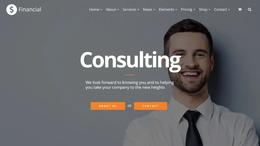 Financial WordPress Theme product artwork
