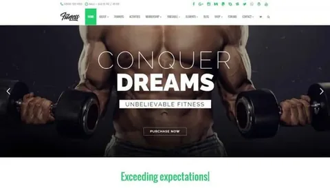 Fitness WordPress Theme product artwork