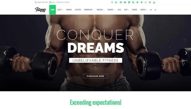 Fitness WordPress Theme product artwork