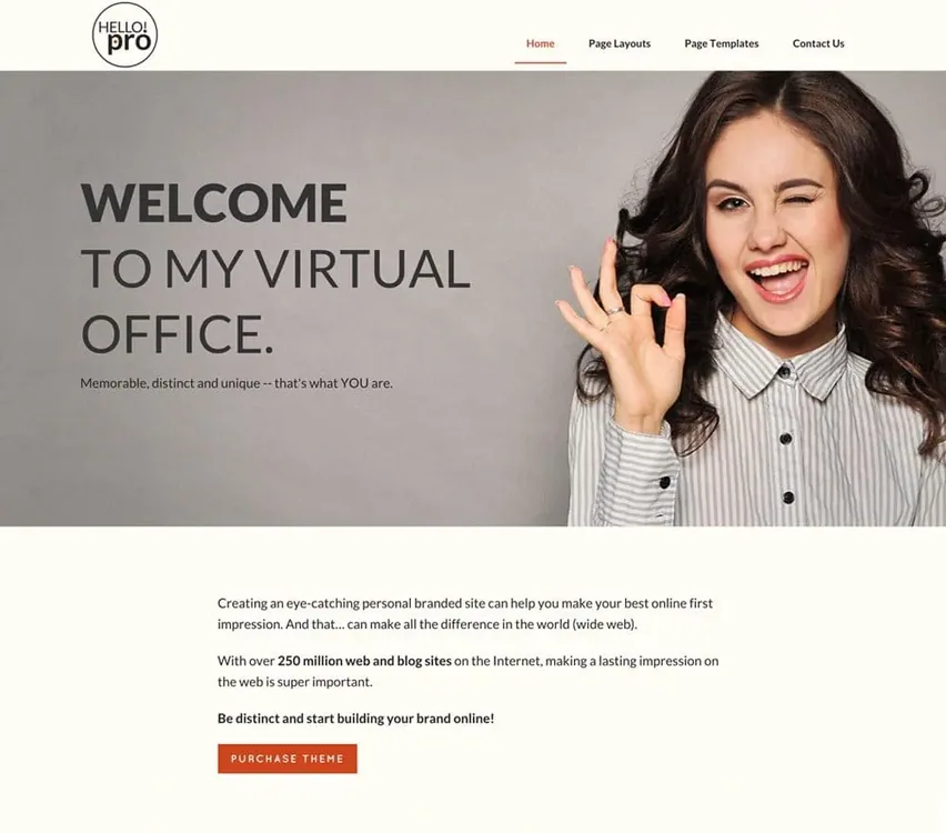 Hello! Pro Theme product artwork