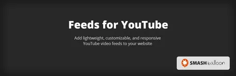 Feeds for YouTube Pro product artwork