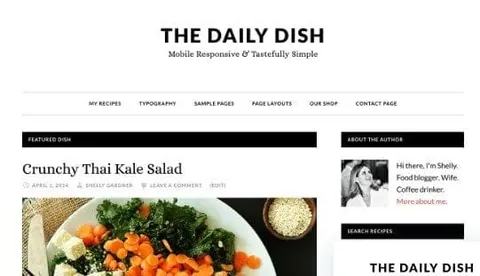 Daily Dish Pro Theme product artwork