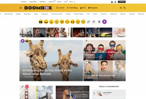 BoomBox – Viral Magazine WordPress Theme product artwork